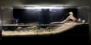 Paludarium.JPG