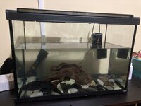 0B121AE2-C6C4-4C5C-B6F6-65E2E9234961.jpeg 0B121AE2-C6C4-4C5C-B6F6-65E2E9234961.jpeg