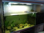 DSC00252.jpg
