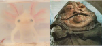 jaba.png