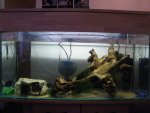 DSCF1281.jpg
