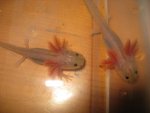 IMG_0494.jpg