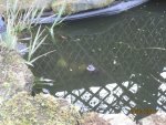 IMG_1321.jpg