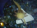 DSC01780.jpg