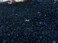 A442F989-15FE-4627-9C77-312025922905.jpeg