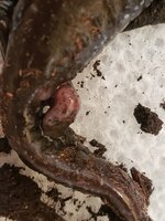 20211101_114012 (1).jpg