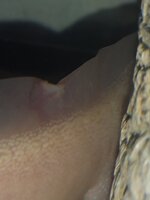 IMG_20211113_233925756.jpg