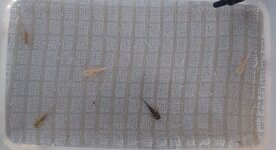 20220118_093602.jpg