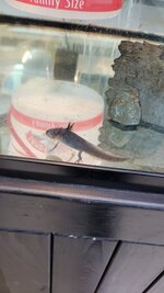 20220129_150151.jpg