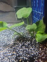 20220117_195133.jpg