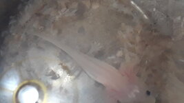 20220316_161958.jpg