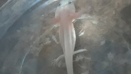 20220316_162030.jpg