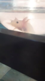 20220320_140726.jpg