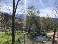 IMG_8066.jpg