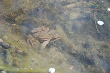 DSC_4827.JPG