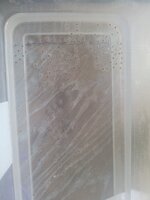 20220604_131905.jpg