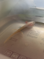 Screen Shot 2022-07-01 at 23.18.07.png