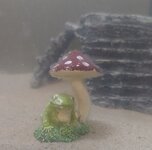 20220721_230500.jpg
