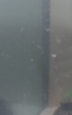 20220721_230416.jpg