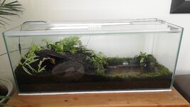 IMG-20221021-WA0034.jpeg