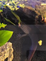 20221106_203234.jpg