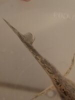 20221213_204120.jpg