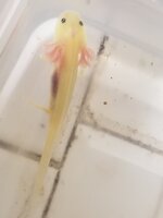 20221213_204315.jpg