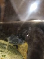 IMG_20221205_232530_682.jpg