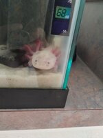 IMG_20230808_115557950.jpg