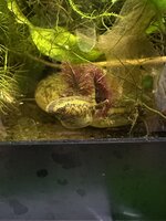 IMG_6229.jpeg