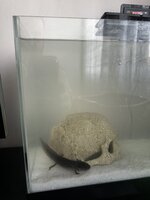 IMG_0144.jpeg