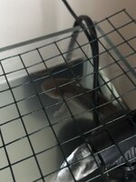 IMG_0146.jpeg