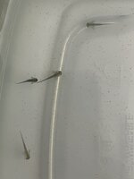 IMG_9555.jpeg