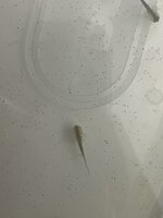 IMG_9558.jpeg