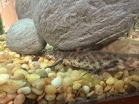 IMG_3021.jpeg