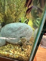 IMG_3048.jpeg