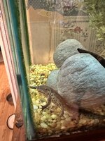 IMG_3049.jpeg