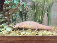 IMG_3026.jpeg