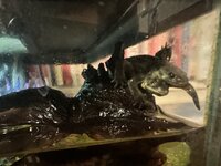 IMG_2866.jpeg
