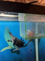 IMG_8672.jpeg
