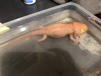 IMG_0700.jpeg