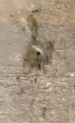 IMG_7805.jpeg