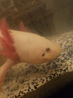 20240413_022921.jpg