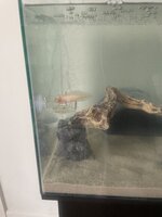IMG_1659.jpeg