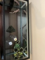 IMG_3034.jpeg