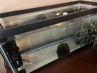 IMG_3035.jpeg