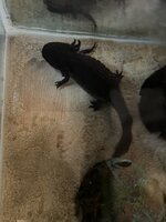 IMG_5891.jpg