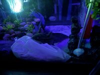 IMG_3248.jpeg