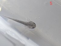 20241206_151623.jpg