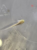 20241206_152824.jpg